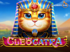 Super cat casino giriş13